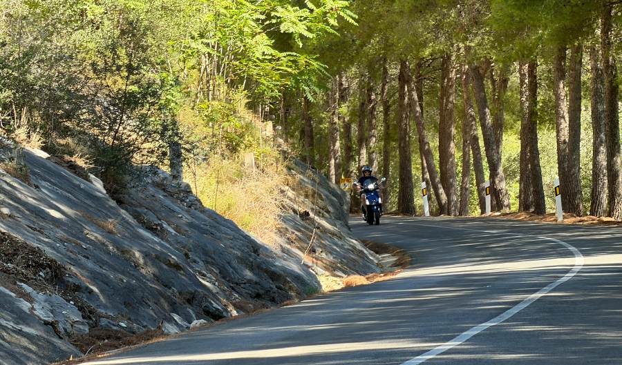 An empty mountain road through pine forest, with a Vespa approaching in the distance