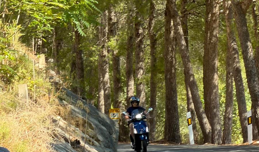 A guest riding a blue Vespa on a quiet road through pine forest