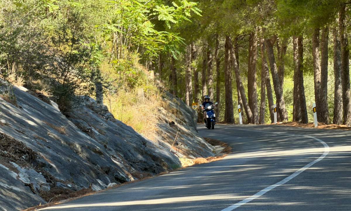 An empty mountain road through pine forest, with a Vespa approaching in the distance