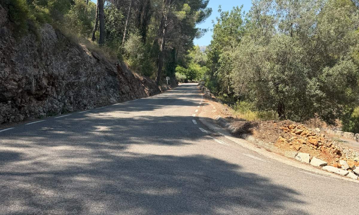 A mountain road through pine forest below a rock face in the Marina Alta
