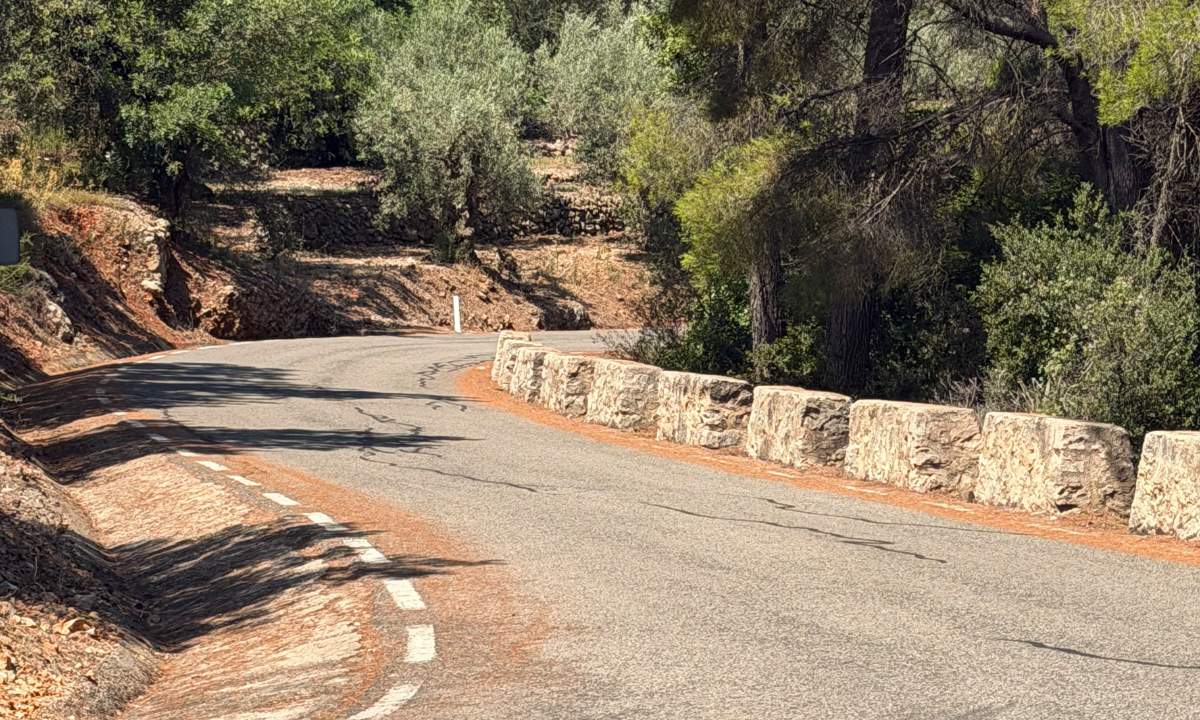 A winding mountain road curving between rock and pine