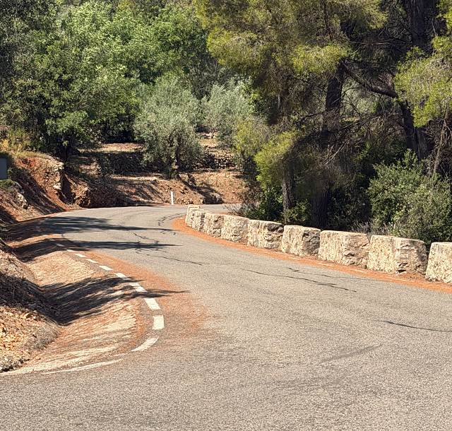 A winding mountain road curving between rock and pine
