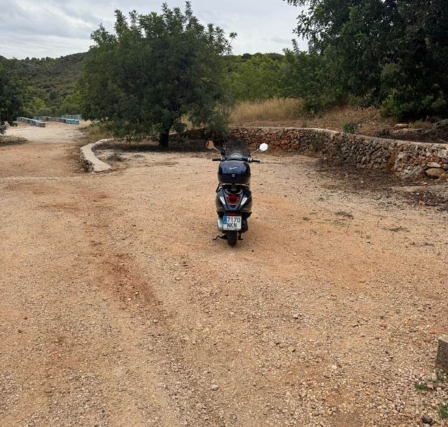 A Vespa parked at the beekeeper, beside rows of hives