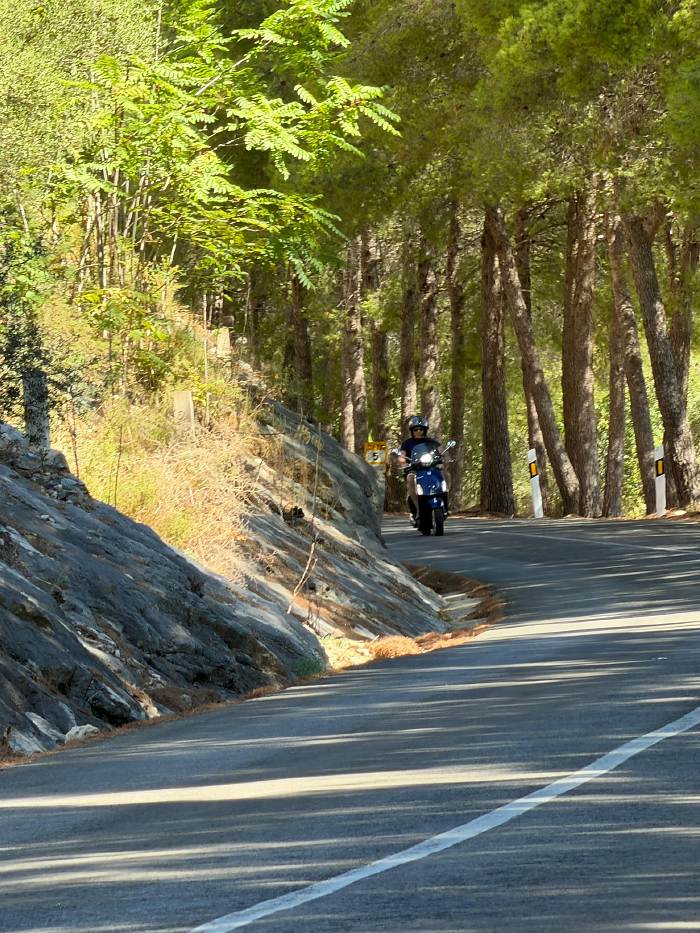 An empty mountain road through pine forest, with a Vespa approaching in the distance